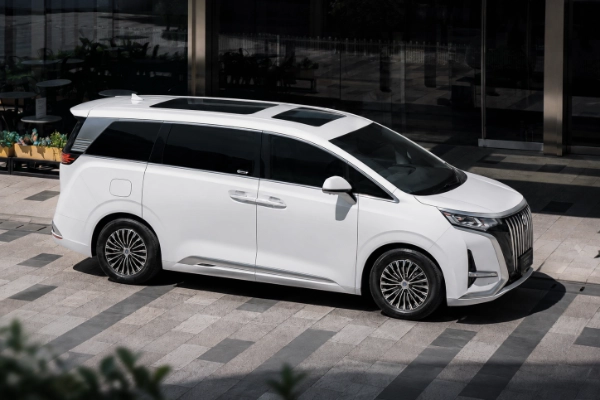 Denza D9 Exterior